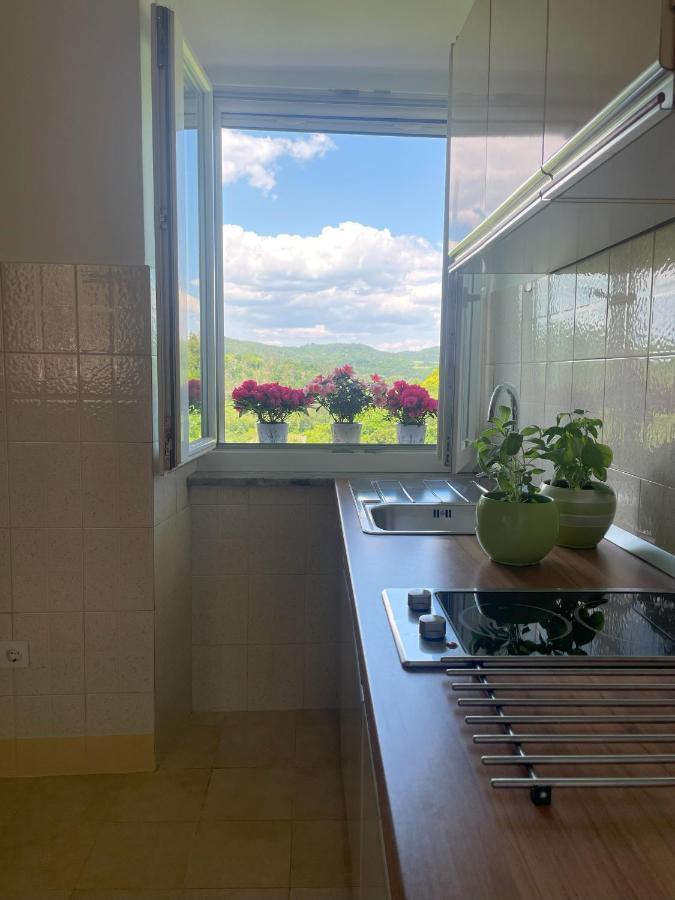 Apartment Kastel Pazin Luaran gambar
